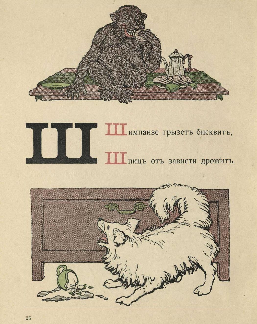 Шимпанзе грызет бисквит,
Шпиц от зависти дрожит.