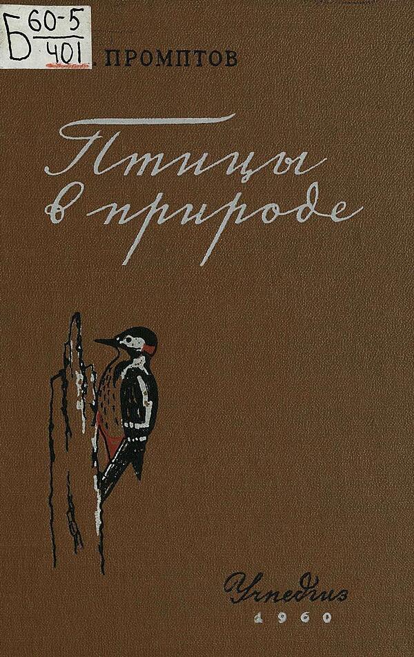 Птицы в природе