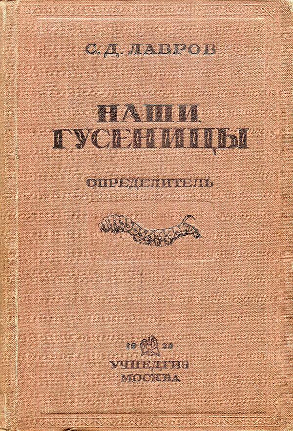 Наши гусеницы