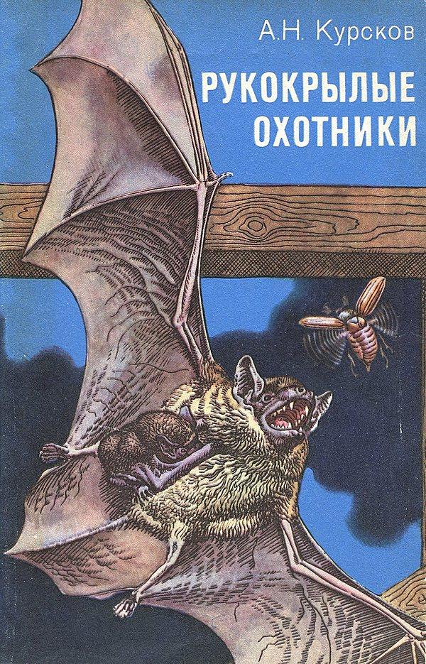 Рукокрылые охотники