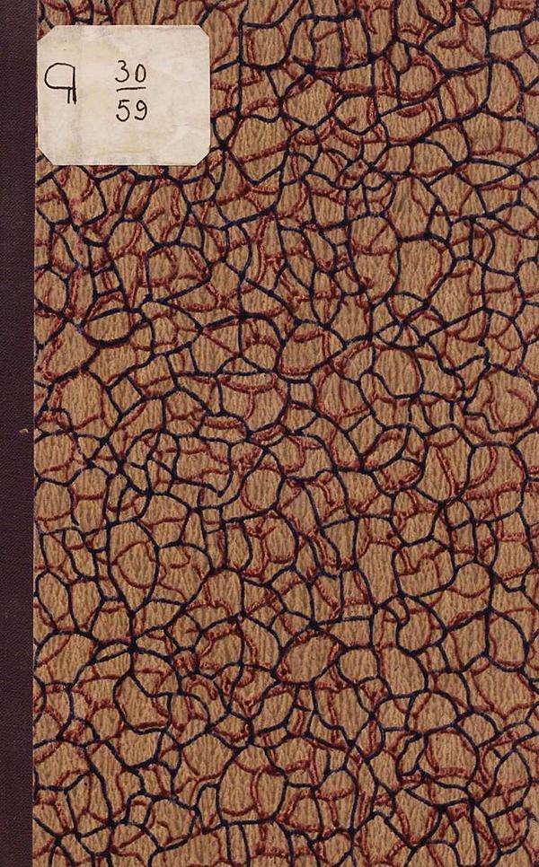 О длине нижней конечности у казаков