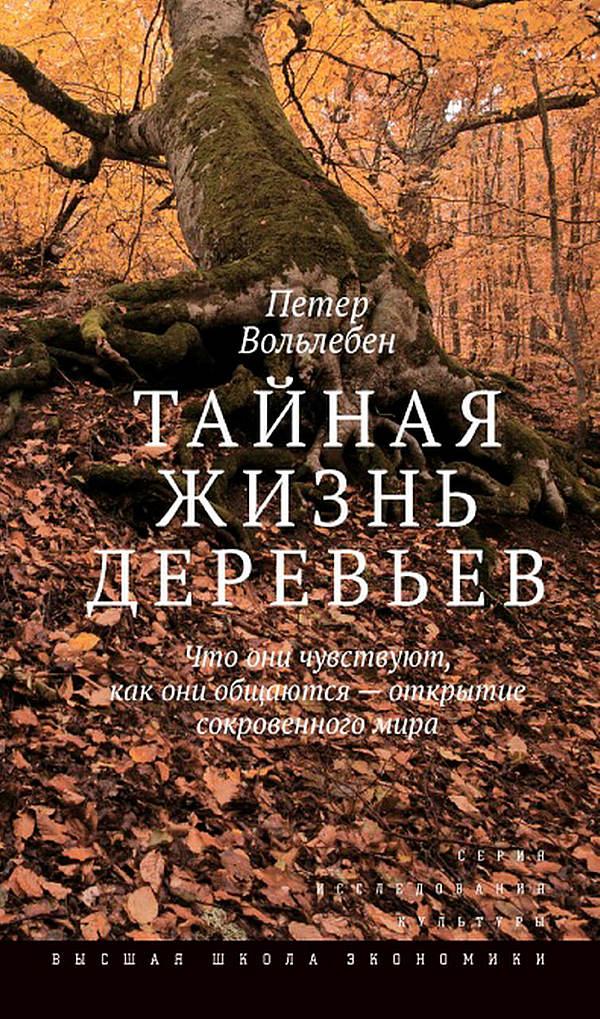 Тайная жизнь деревьев. Что они чувствуют, как они общаются — открытие сокровенного мира