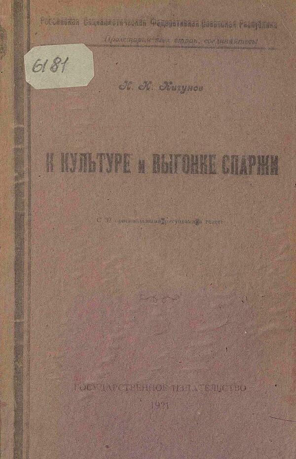 К культуре и выгонке спаржи