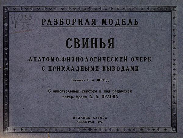 Свинья. Анатомо-физиологический очерк с прикладными выводами. Разборная модель