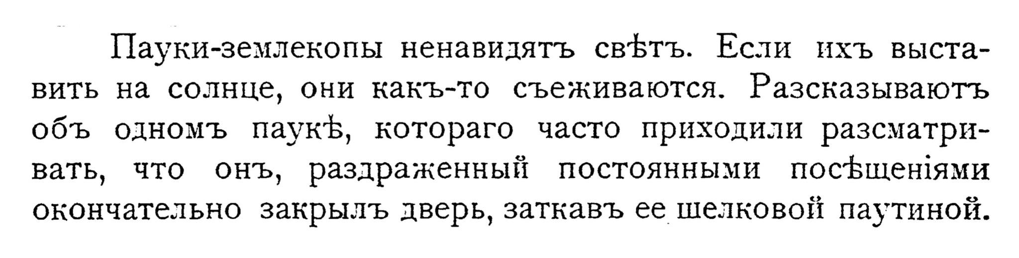 Пауки-землекопы ненавидят свет