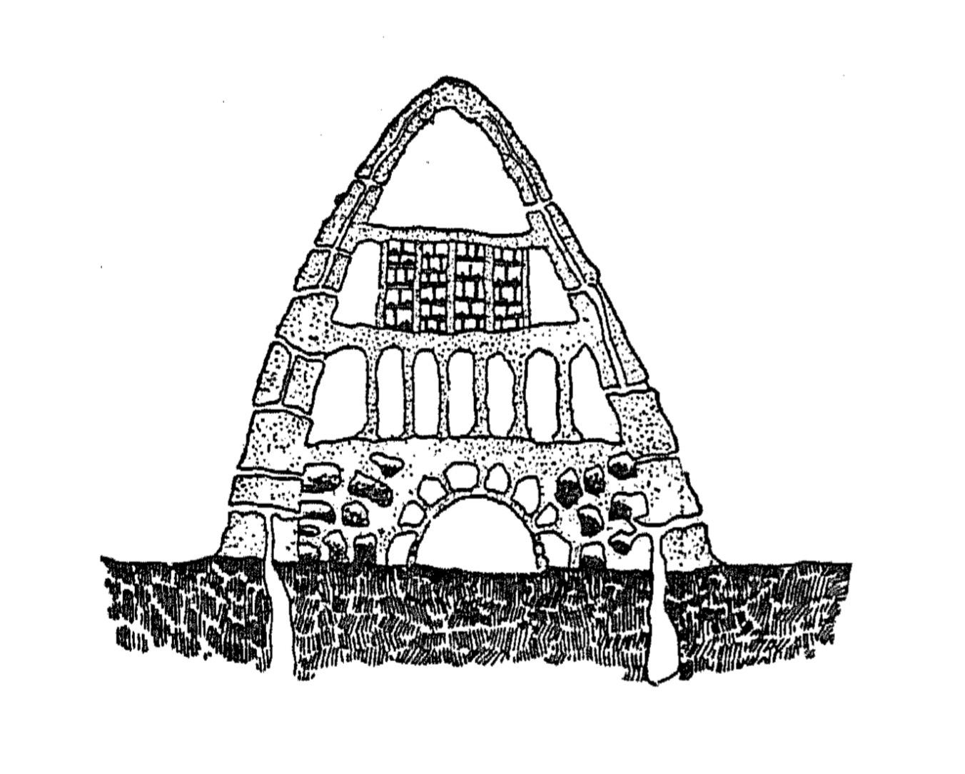 Схема разреза гнезда термитов