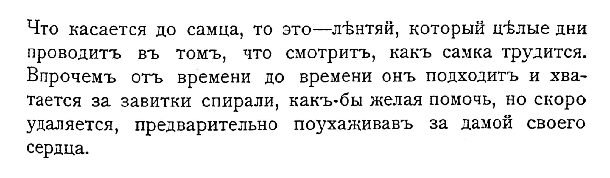 Самец лентяй