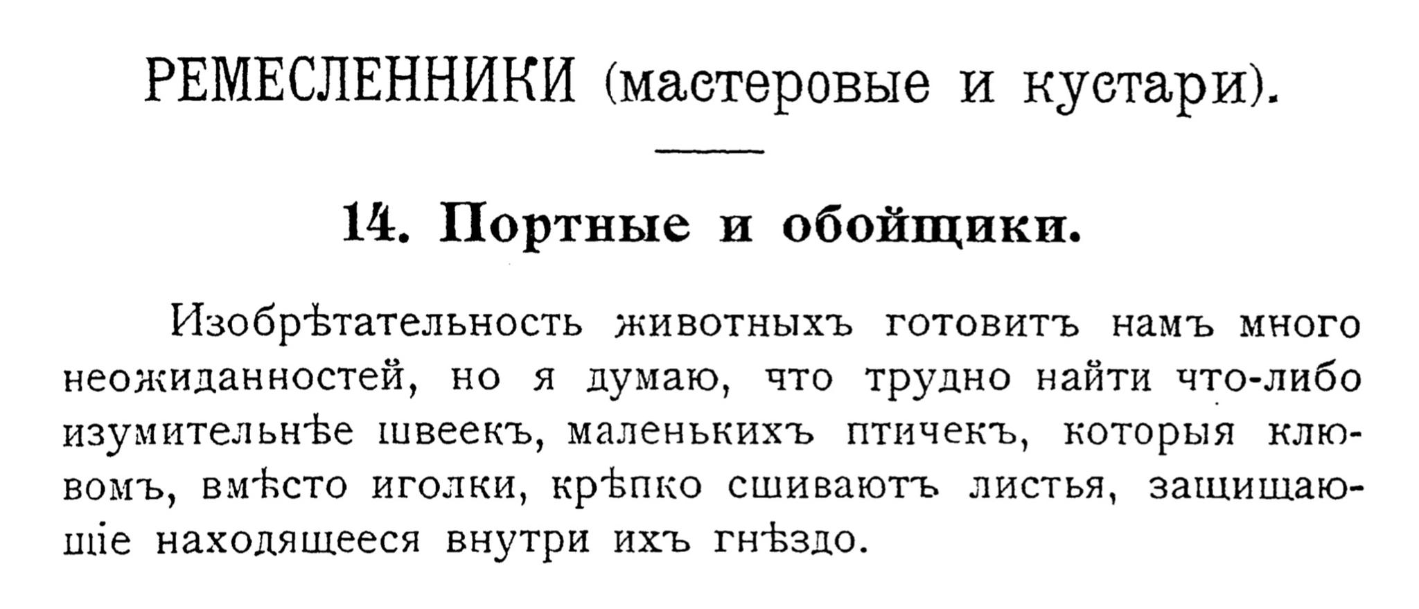 Ремесленники (мастеровые и кустари). Портные и обойщики