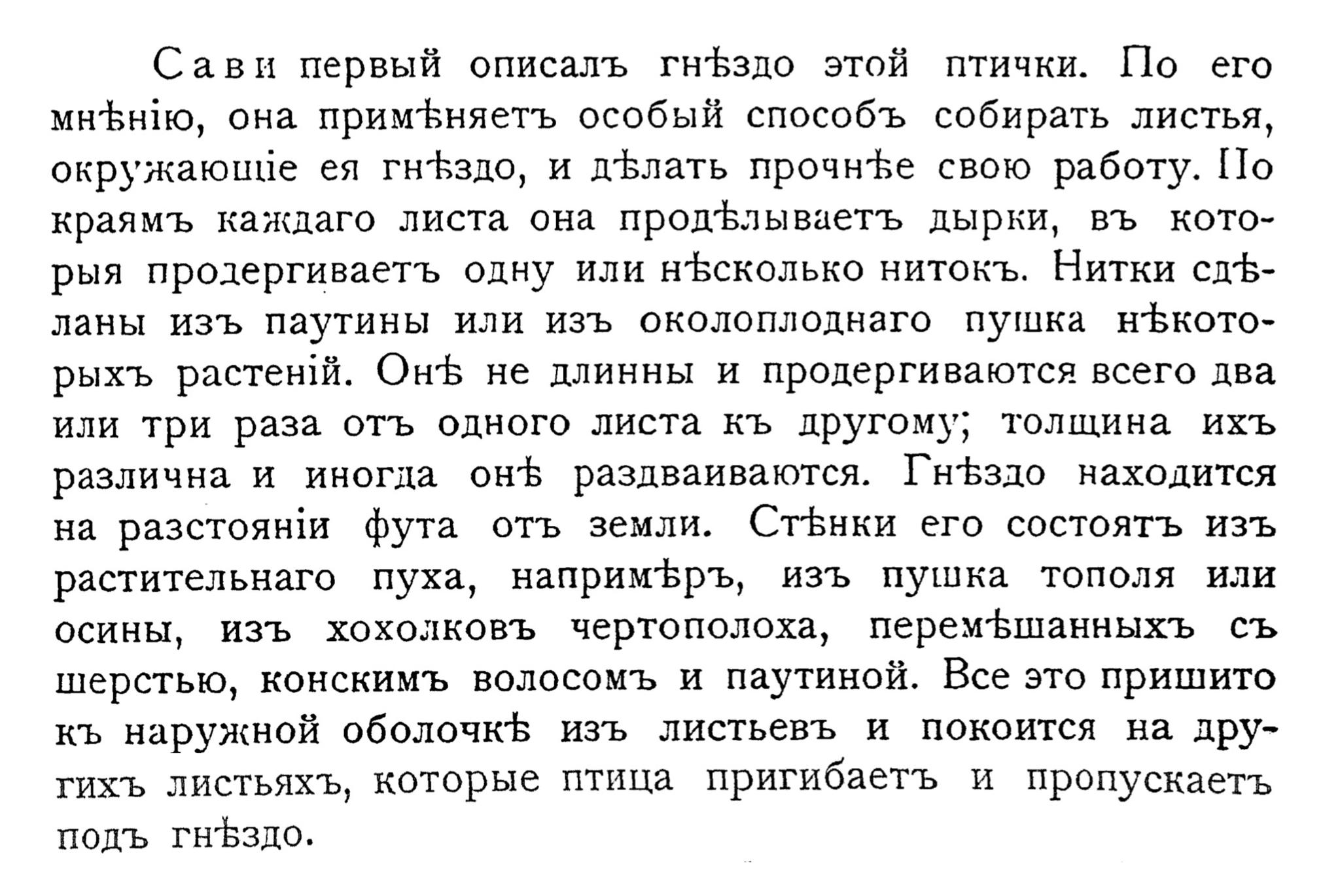 Ремесленники (мастеровые и кустари). Портные и обойщики. Цистикола швейка