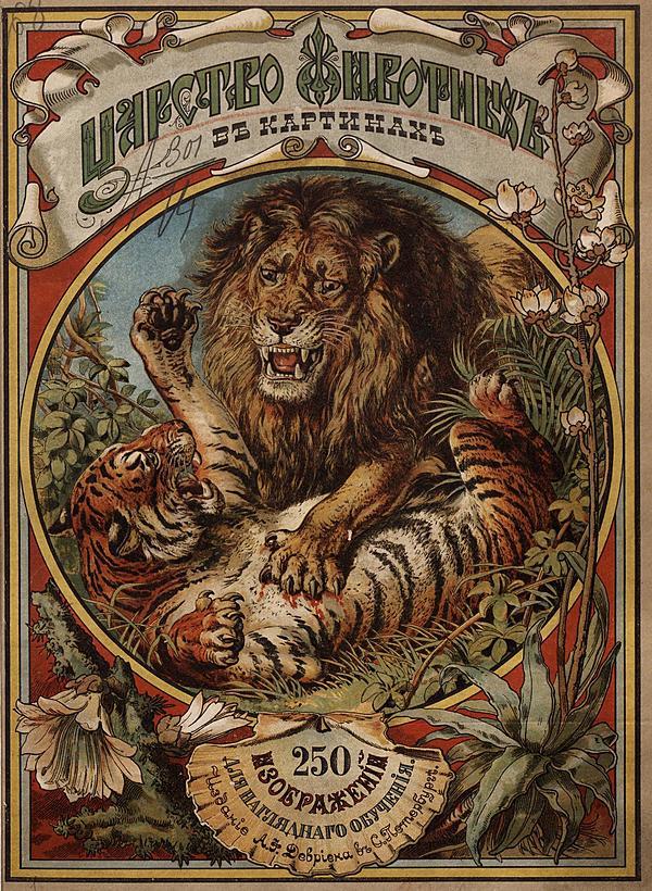 Царство животных в картинах