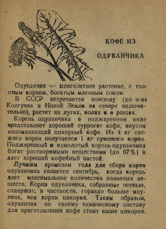 Кофе из одуванчика