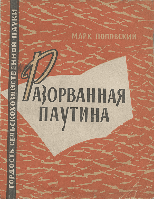 Разорванная паутина