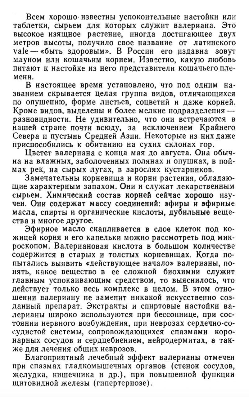 Лечебный эффекты валерианы.