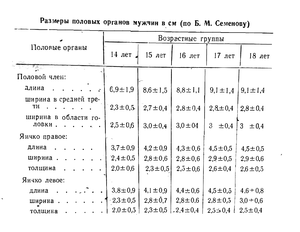 Размеры половых органов мужчин в см (по Б. М. Семенову)