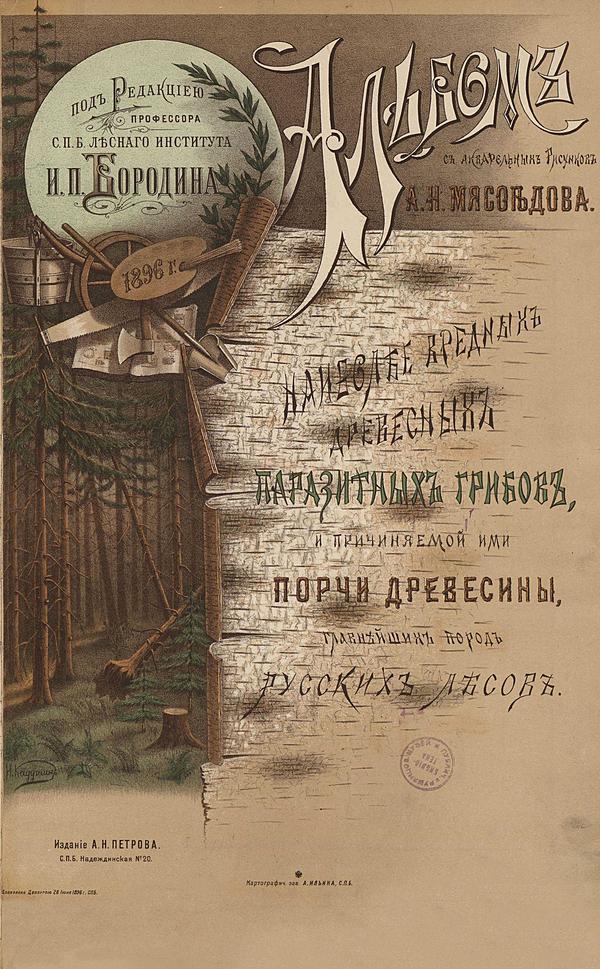Альбом с акварельных рисунков А.Н. Мясоедова наиболее вредных древесных паразитных грибов и причиняемой ими порчи древесины главнейших пород русских лесов