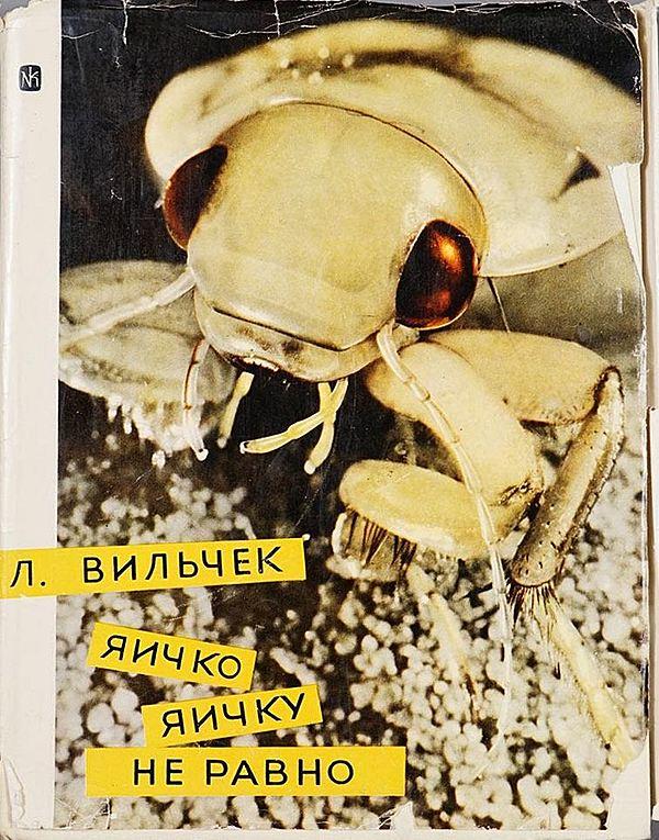 Яичко яичку не равно